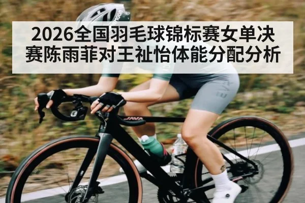 2026全国羽毛球锦标赛女单决赛陈雨菲对王祉怡体能分配分析